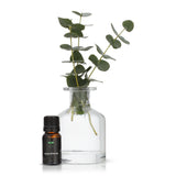 Eucalyptus Oil