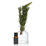 Rosemary Oil